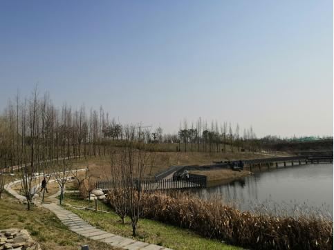 四道“春景”扮靓美丽高新 四道“春景”扮靓美丽高新