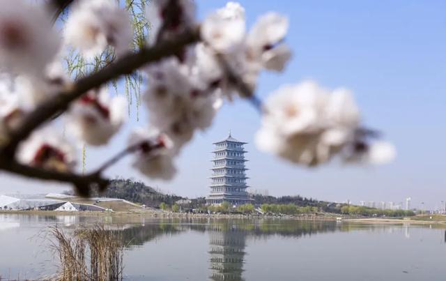 再增新绿！浐灞生态区组织开展春季义务植树活动