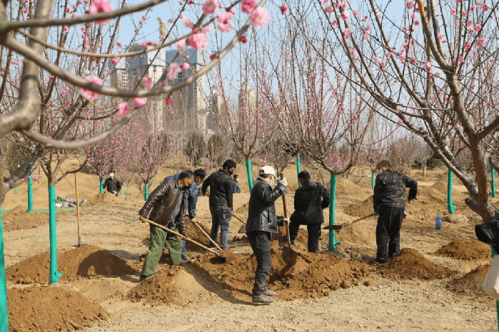 绿化再提升 美景再升级！浐灞更“靓”啦~