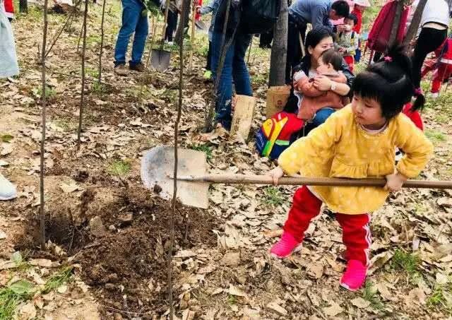 别让地球去流浪，线上云种树，绿色满长安！