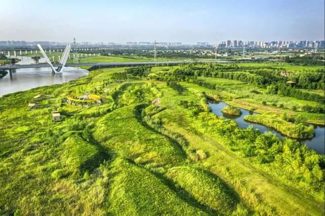 西咸新区，种下春天