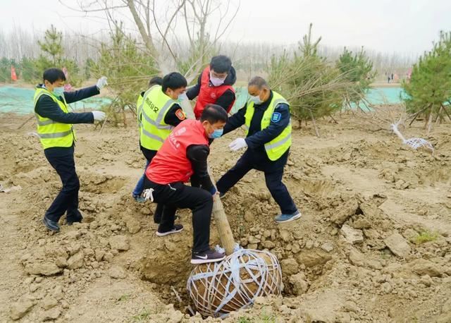 西咸新区，种下春天