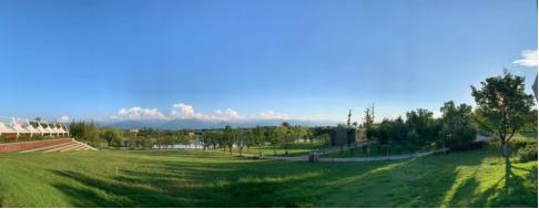 四道“春景”扮靓美丽高新 四道“春景”扮靓美丽高新