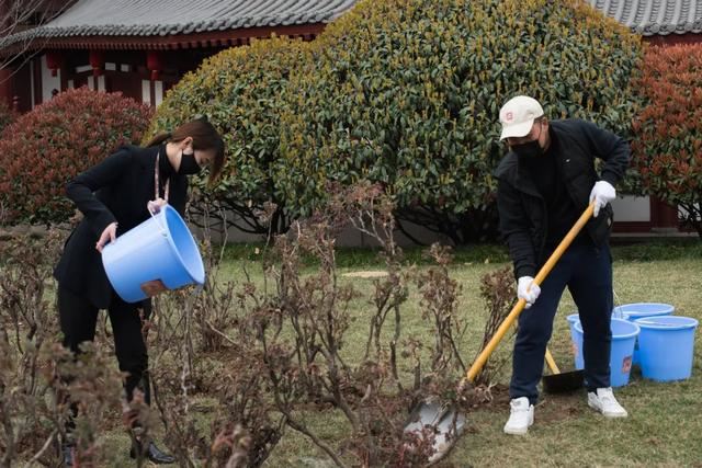 别让地球去流浪，线上云种树，绿色满长安！