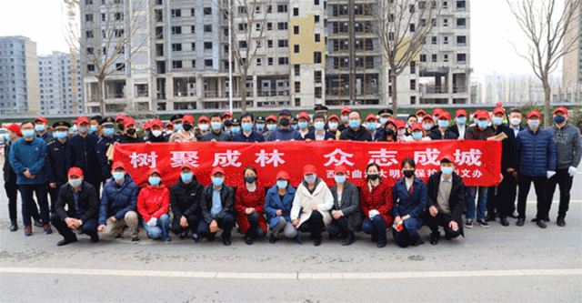 别让地球去流浪，线上云种树，绿色满长安！