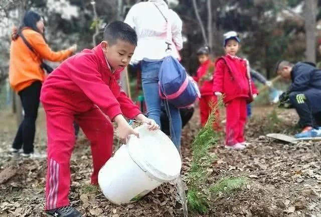 别让地球去流浪，线上云种树，绿色满长安！
