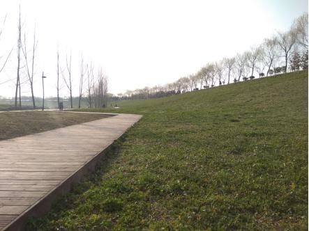 四道“春景”扮靓美丽高新 四道“春景”扮靓美丽高新