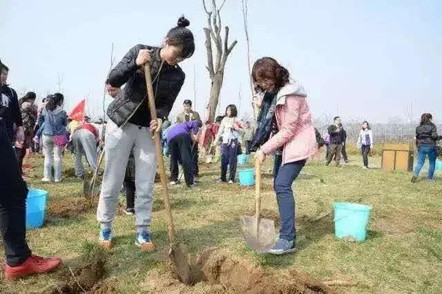 别让地球去流浪，线上云种树，绿色满长安！