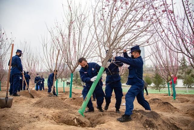 再增新绿！浐灞生态区组织开展春季义务植树活动
