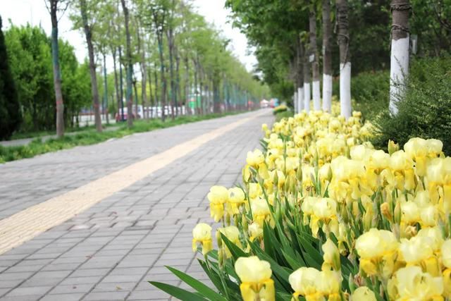 西咸新区，种下春天