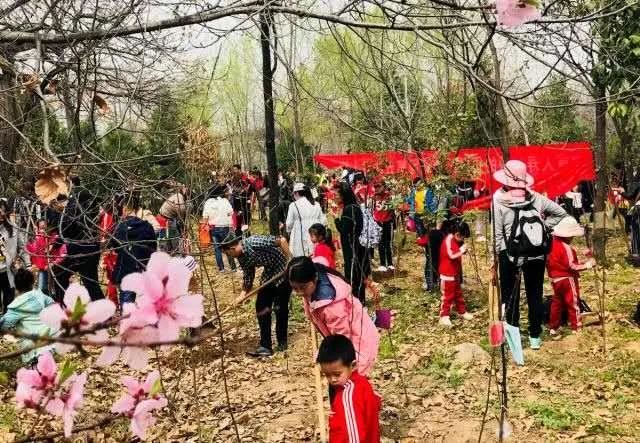 别让地球去流浪，线上云种树，绿色满长安！