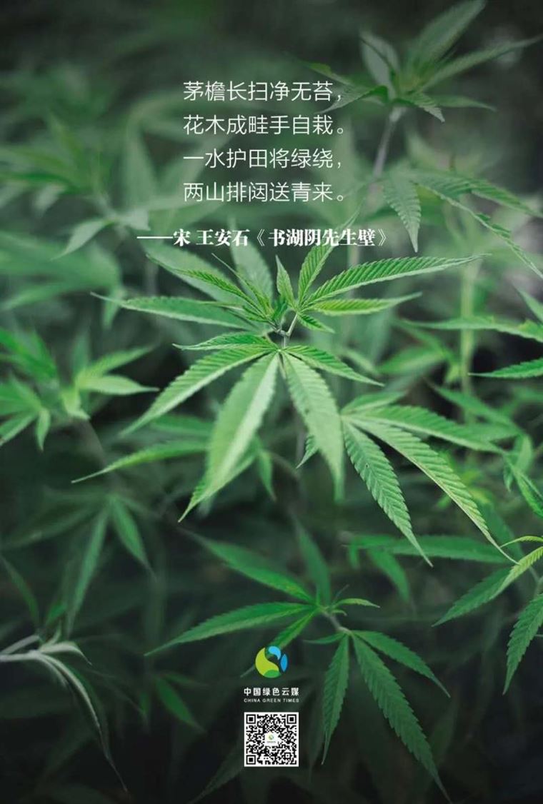 他们为植树代言