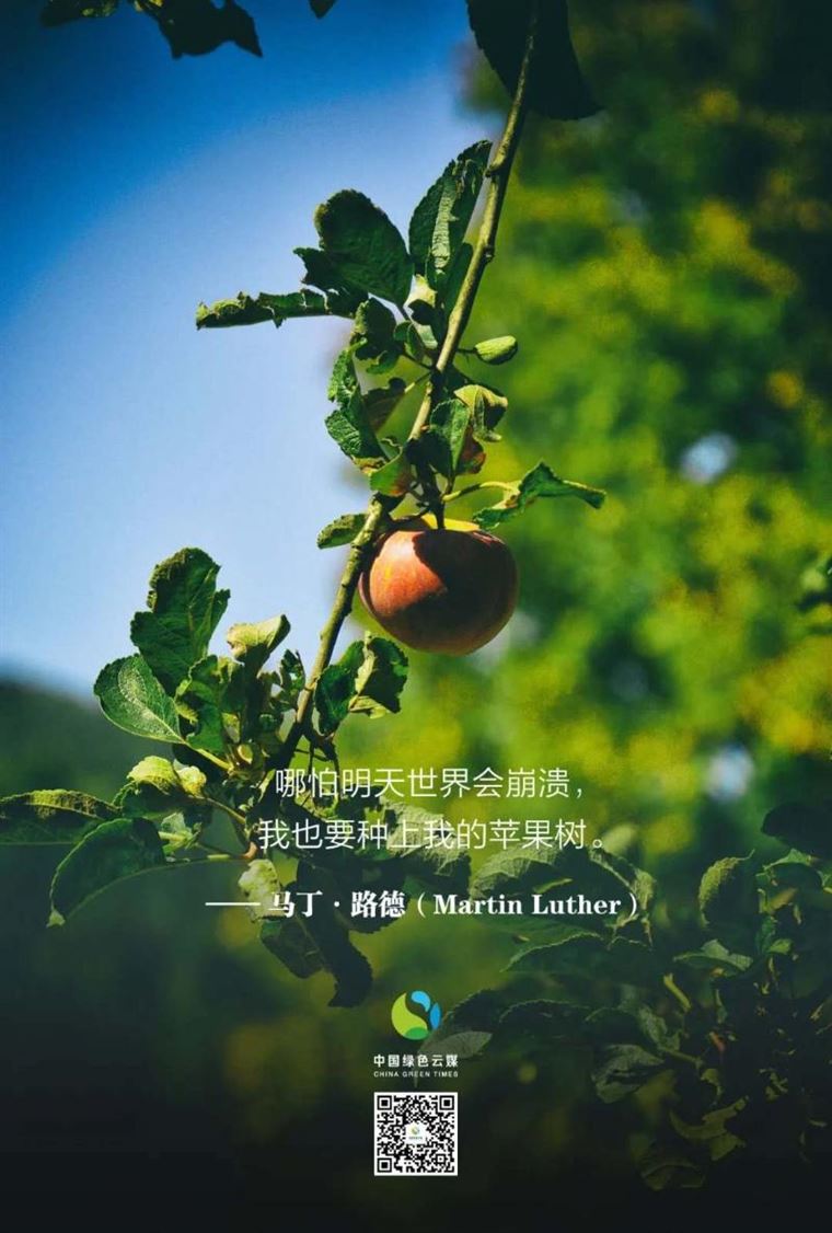 他们为植树代言