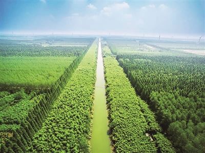 大力推进国土绿化行动　用绿色铺就江苏高质量发展最美底色