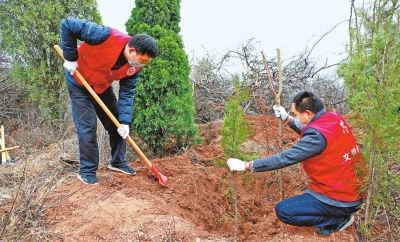 今年河南省已造林215.5万亩