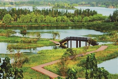 大力推进国土绿化行动　用绿色铺就江苏高质量发展最美底色