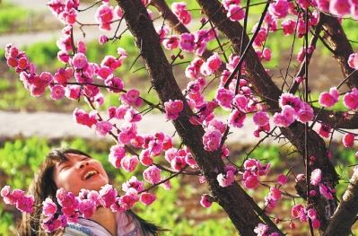 今年河南省已造林215.5万亩