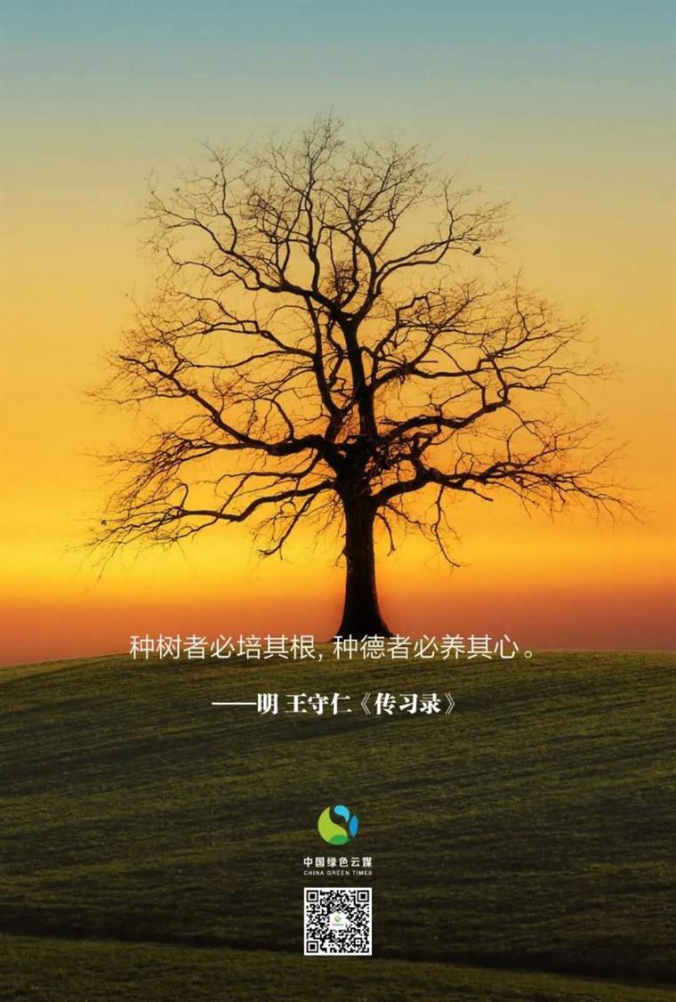 他们为植树代言