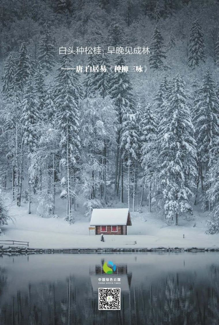 他们为植树代言