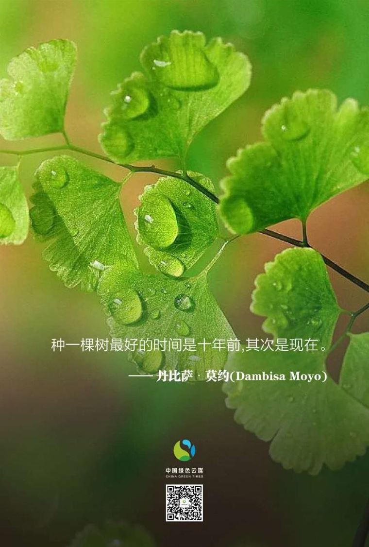 他们为植树代言