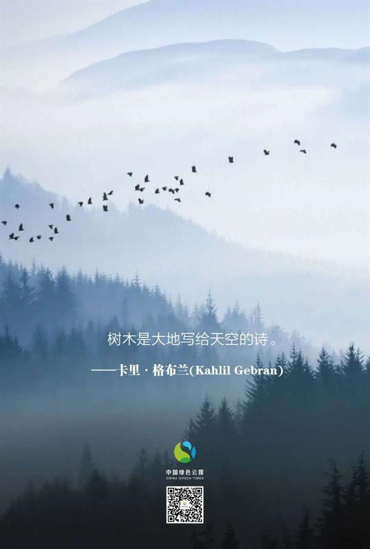 他们为植树代言