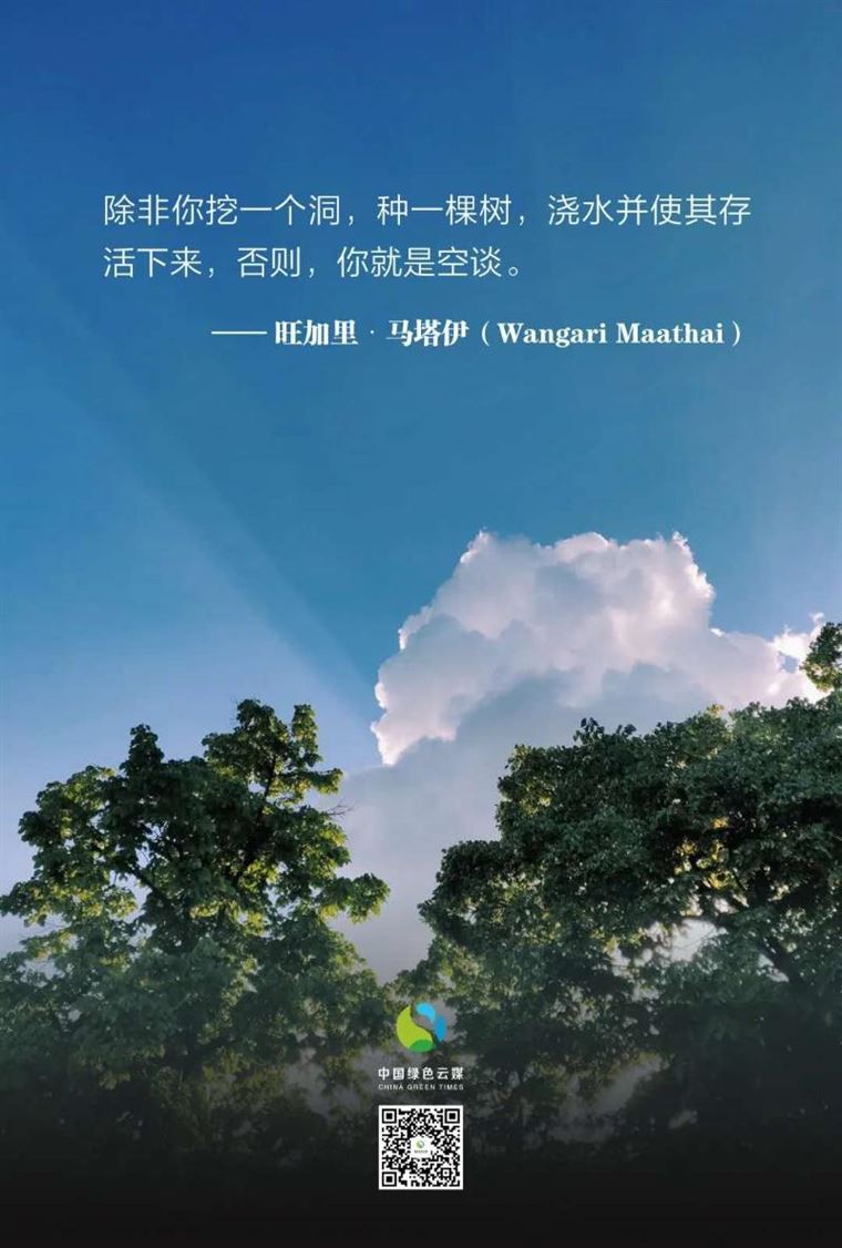 他们为植树代言