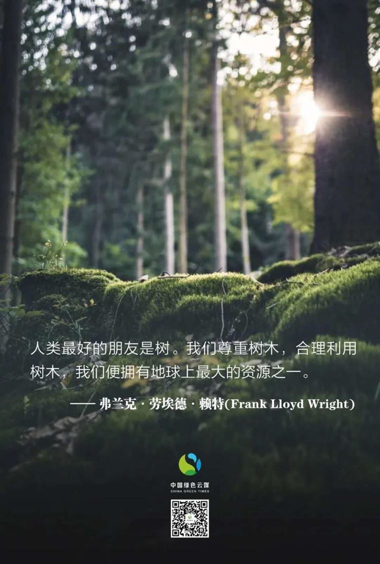 他们为植树代言