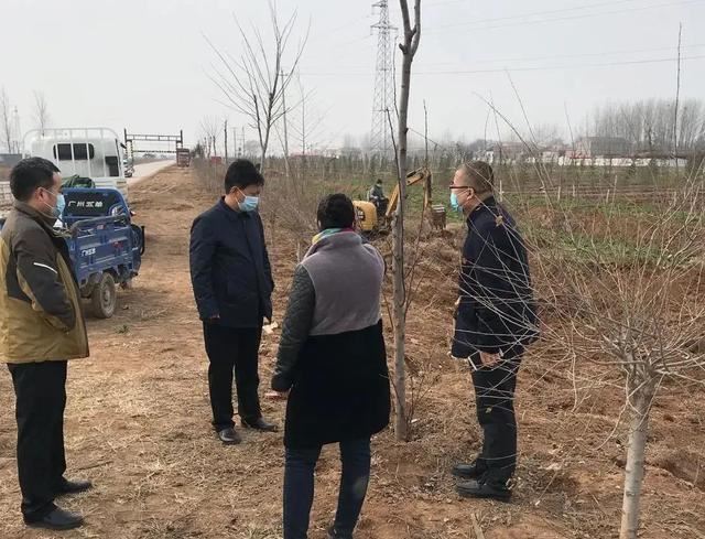 植树正当时，魏县掀起绿化高潮