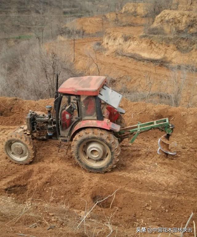 图集：孟津县防疫绿化两不误 国土绿化复工全面开花