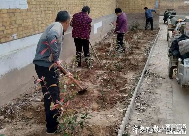 临清市八岔路镇田庙村全民动员搞绿化，提升群众幸福感