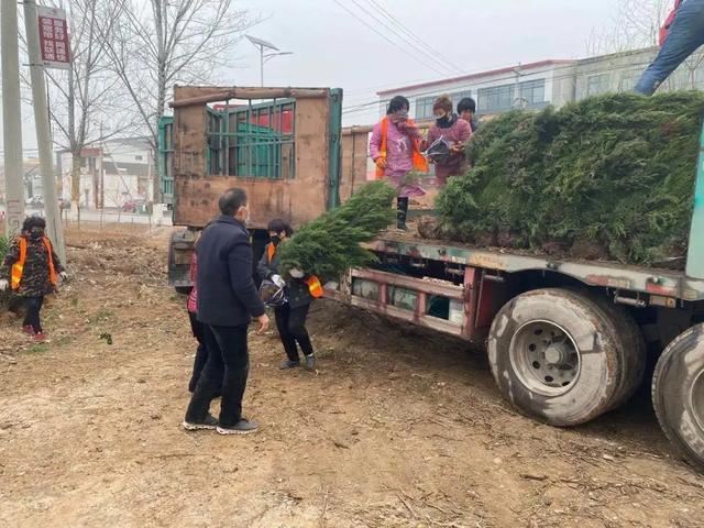 植树正当时，魏县掀起绿化高潮