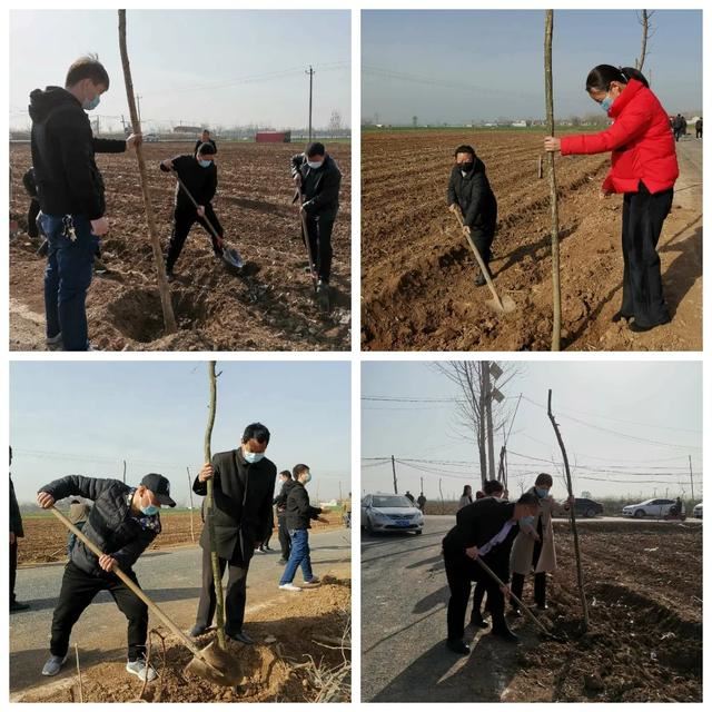 植树正当时，魏县掀起绿化高潮