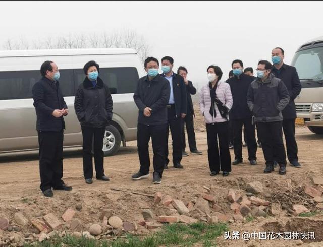 图集：孟津县防疫绿化两不误 国土绿化复工全面开花