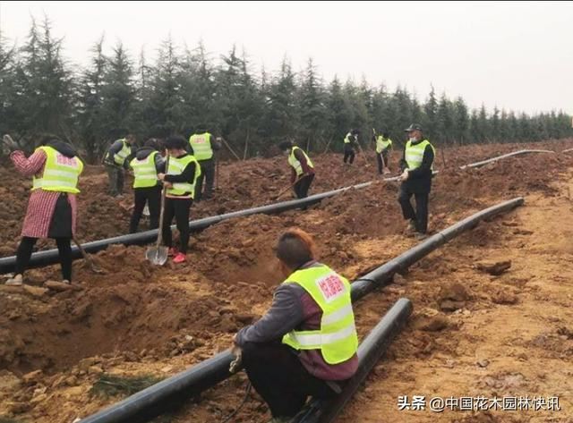图集：孟津县防疫绿化两不误 国土绿化复工全面开花