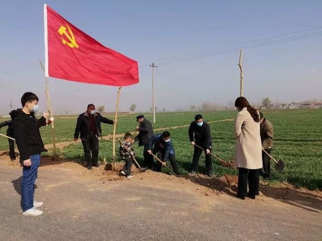 植树正当时，魏县掀起绿化高潮