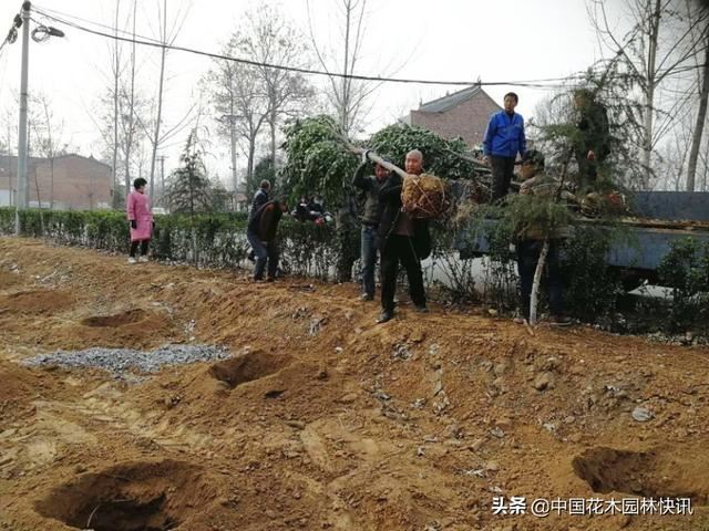 图集：孟津县防疫绿化两不误 国土绿化复工全面开花