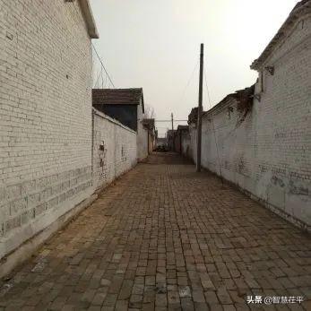 茌平区冯屯镇：抢抓春时 恢复生产