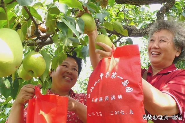 山东一县，有第一梨树王，柳林花鼓独一无二，郎庄面塑是中国一绝