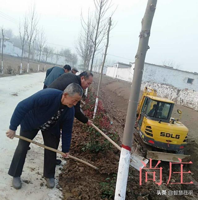 乐平铺镇：村庄美化绿化行动促使农村人居环境提升