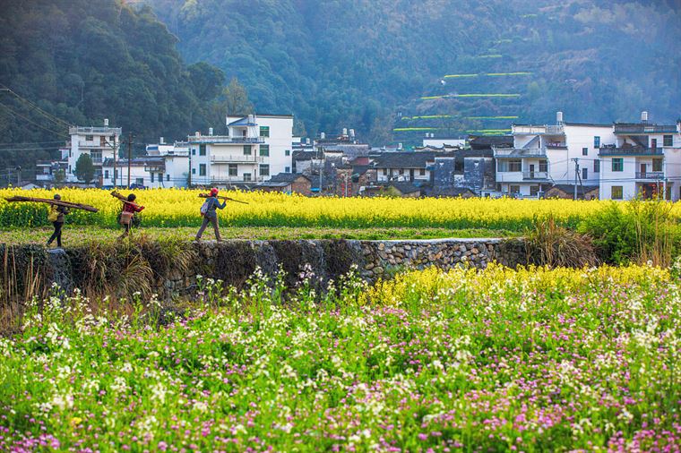 “寻香地图”上线，追逐各城春日里的花花世界