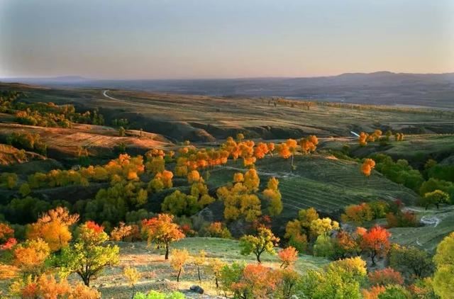 守好生态林 端牢“绿饭碗” 守好生态林 端牢“绿饭碗”