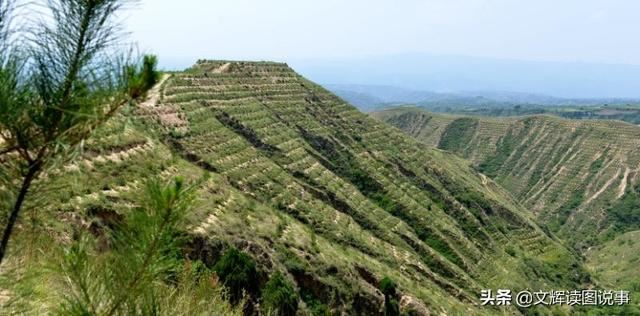 中国优秀扶贫案例——大宁县购买式造林