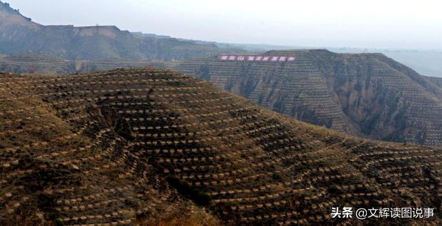 中国优秀扶贫案例——大宁县购买式造林