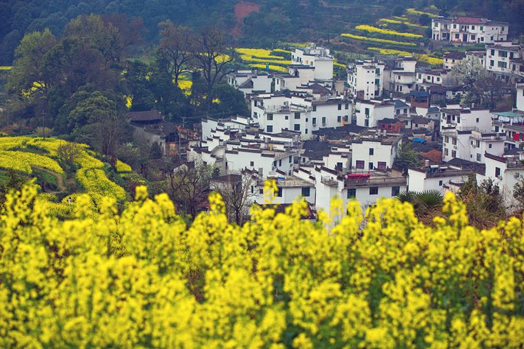 “寻香地图”上线，追逐各城春日里的花花世界