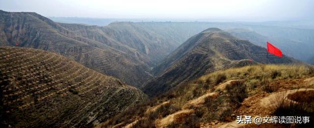 中国优秀扶贫案例——大宁县购买式造林