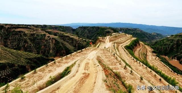 中国优秀扶贫案例——大宁县购买式造林