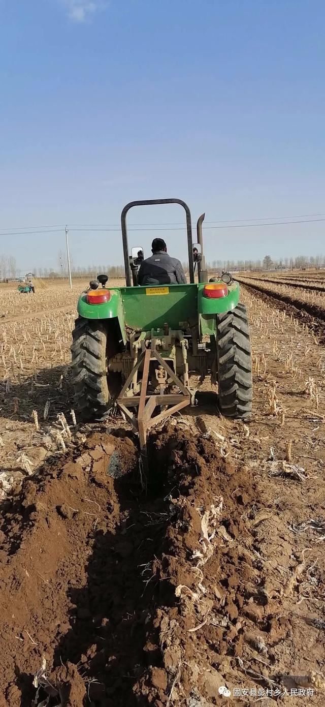忙乘东风去造林——彭村乡抢抓时节迅速掀起造林热潮