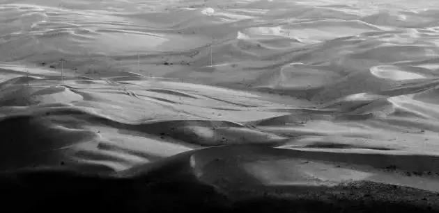 守好生态林 端牢“绿饭碗” 守好生态林 端牢“绿饭碗”