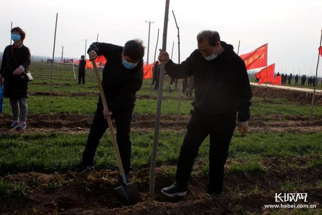 2020年河北造林目标:800万亩!为燕赵大地植一片绿 2020年河北造林目标:800万亩!为燕赵大地植一片绿