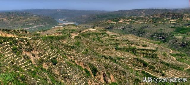 中国优秀扶贫案例——大宁县购买式造林